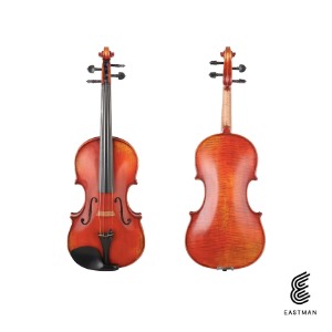 바이올린 Frederich Wyss  VL703